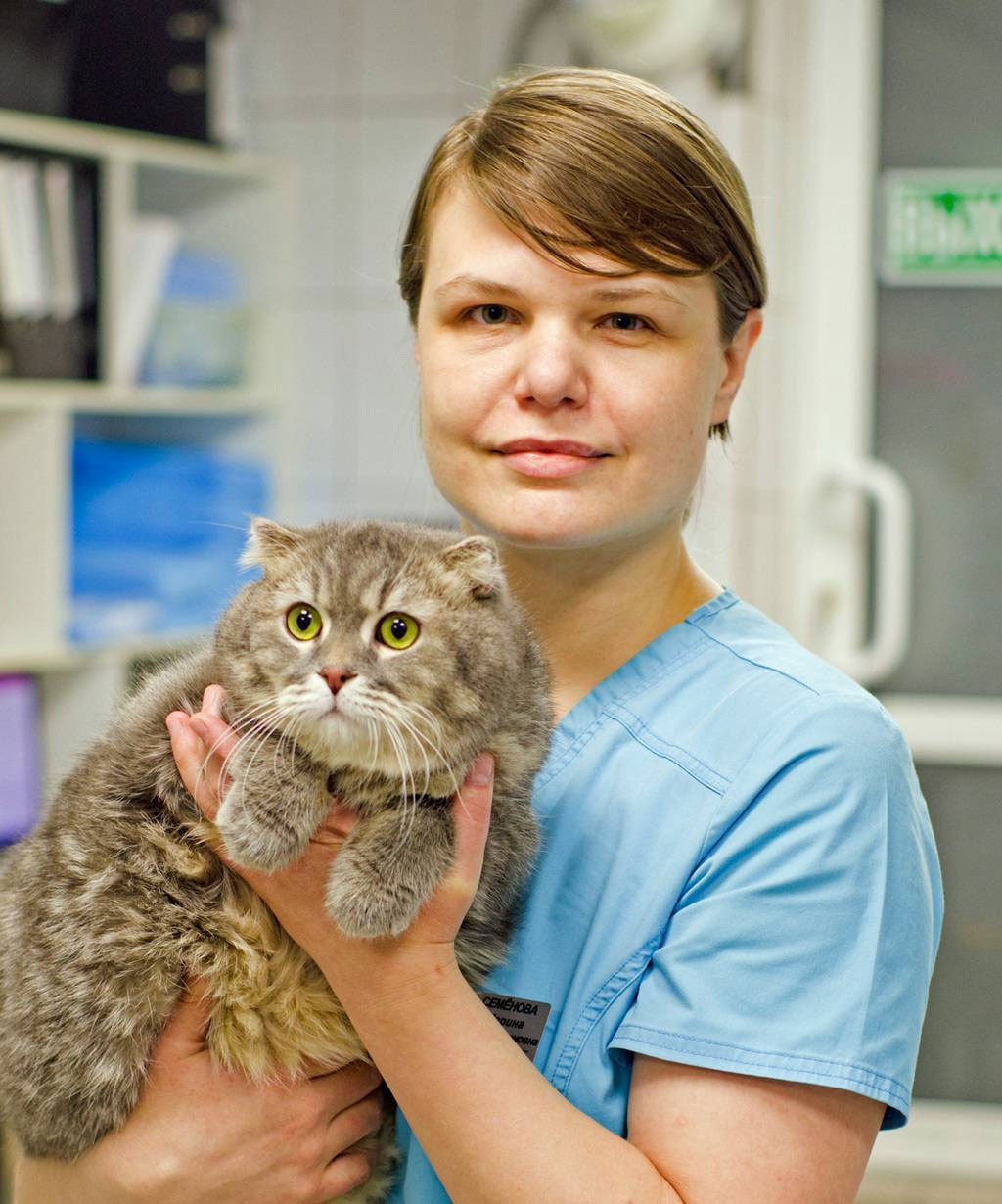 услуги ветеринара Ветеринар на дом в Ивантеевку