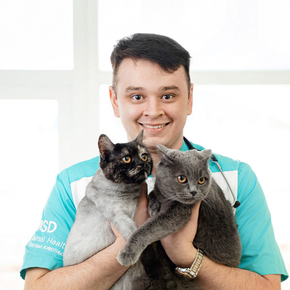 услуги ветеринара Ветеринар на дом в Краснознаменск
